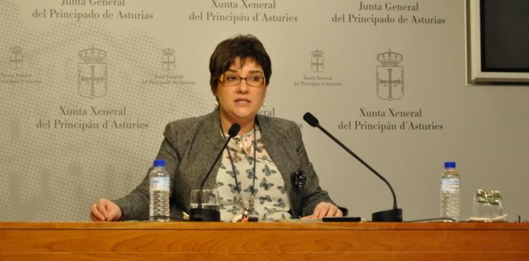 IU propone ayudas para frenar la pobreza energética en Asturias