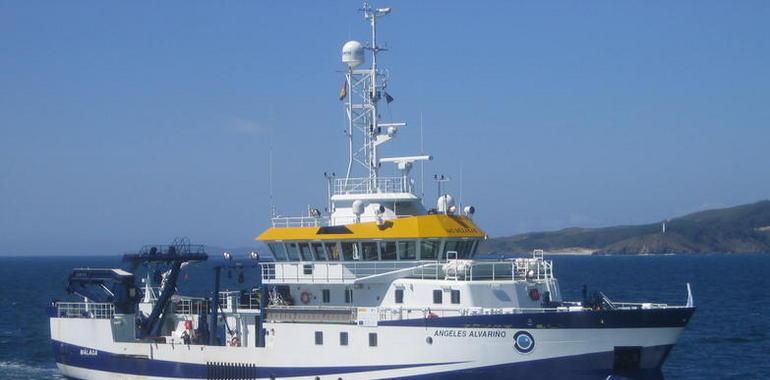 El buque oceanográfico Ángeles Alvariño puede visitarse en el puerto de Avilés los días 30 y 31