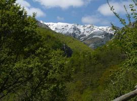 Coordinadora Ecologista pide un incremento sustancial de la protección de espacios en Montaña Central