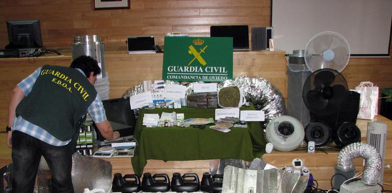 La Operación Sésamo desarticula dos bandas de distribucción de drogas y anabolizantes en Asturias