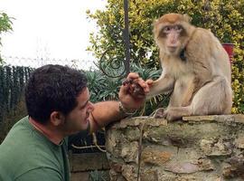 El Zoo de Oviedo rehabilita a un primate, Dunny, al que habían humanizado