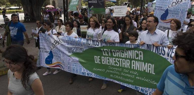 #Ley de #Bienestar #Animal entra en Parlamento de Ecuador por  Iniciativa Popular