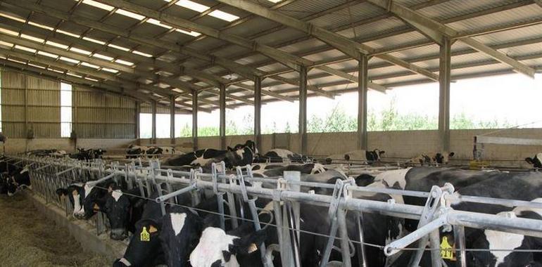 Las comunidades de producción lechera se unen para inspeccionar los contratos con los productores