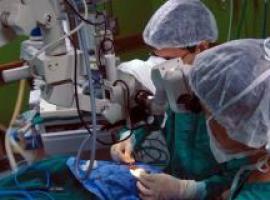 Brasil y España firman acuerdo en #trasplante de #órganos