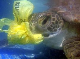 Galápagos declara la guerra al plástico asesino 