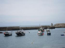 Ecologistas de Asturias reiteran su petición de acabar con la sobrepesca