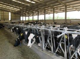 UPA denuncia el abuso de poder de la industria sobre los ganaderos lácteos españoles