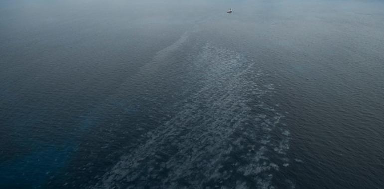 Greenpeace sobrevuela mancha de petróleo en Canarias de casi ya 5 kilómetros 