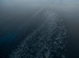 Greenpeace sobrevuela mancha de petróleo en Canarias de casi ya 5 kilómetros 