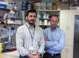 Investigadores asturianos descubren nuevo biomarcador para la detección precoz del cáncer de páncreas