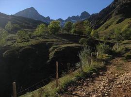 Agroganadería pone guapos los caminos en Las Ubiñas-La Mesa y Redes