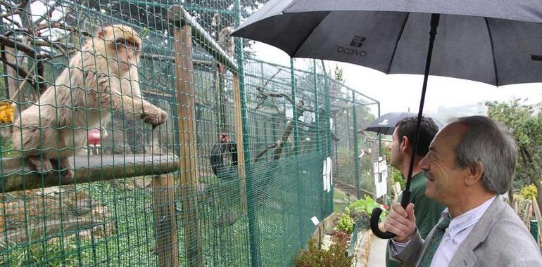 El bambi del Zoo de Oviedo se llama Carbayón a propuesta del alcalde