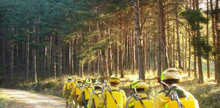 Los bomberos combaten un nuevo incendio forestal en Ferreira, Santa Eulalia de Oscos