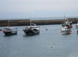 El PSOE alerta de que la flota del cerco está en “riesgo de desaparecer” por la falta de cuota de pesca 