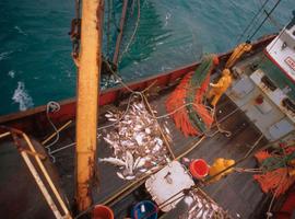 Miles de ciudadanos piden al gobierno una mejor normativa para pescar en aguas profundas