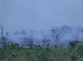 COP21 – Un incendio en la Amazonia arrasa la selva que habitan indígenas aislados