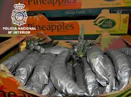Incautan más de 200 kilos de cocaína ocultos entre piñas tropicales