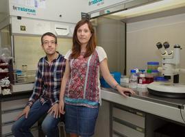 El equipo Otín identifica un nuevo supresor tumoral, la proteína AIRAPL