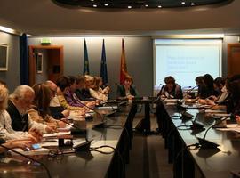 Consejo Asesor de Bienestar Social impulsará estrategia de inclusión en Asturias   