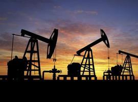 Ecuador defiende reducir producción petrolera en cumbre OPEP-NO OPEP