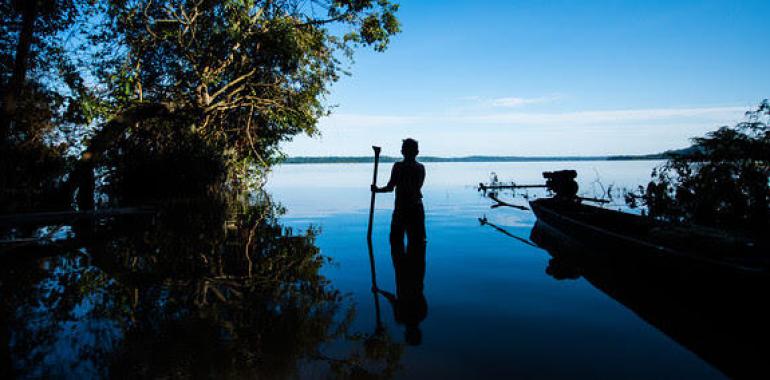 Greenpeace pide a Iberdrola, Mapfre y Siemens que dejen de destruir el Amazonas
