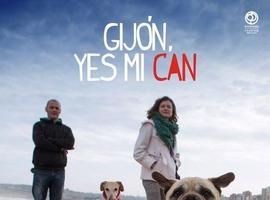 Gijón, yes mi can impulsa el turismo de los viajeros con su mascota