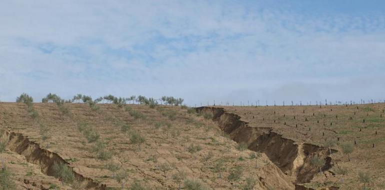 El desierto ya ha tomado el 20% de España y sigue avanzando