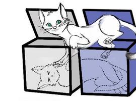 El gato de Schrödinger complica la paradoja