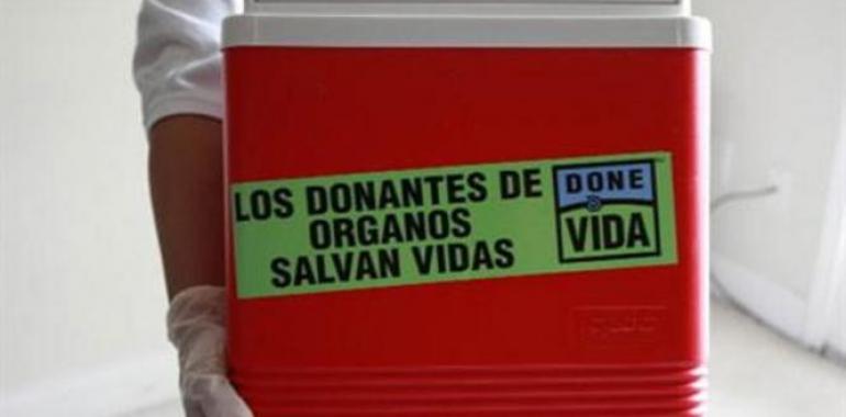 España, de nuevo líder mundial en trasplante de órganos