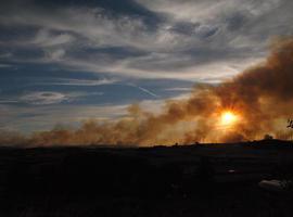 Logran estabilizar el incendio de 2000 Ha entre Tafalla y Pueyo