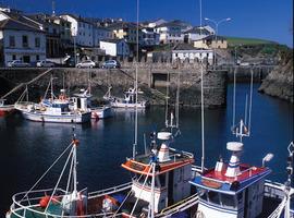 15 proyectos de Asturias recibirán subvención del nuevo Fondo Europeo Marítimo y de la Pesca
