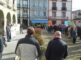 Iniciativa parlamentaria de Podemos Asturias contra la avispa asiática
