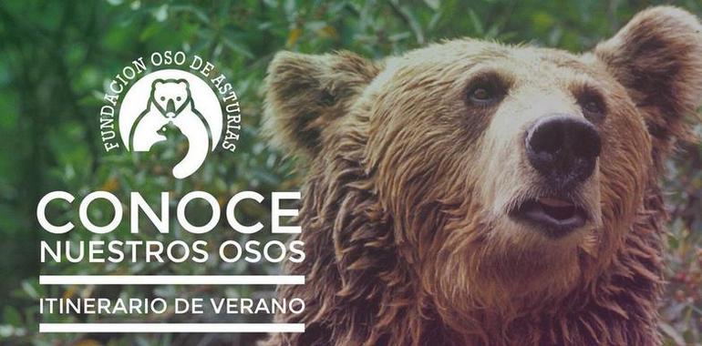 Escolinos asturianos amigos del oso