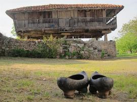 Podemos Asturias denuncia deficiente gestión en las ayudas a hórreos de Ponga