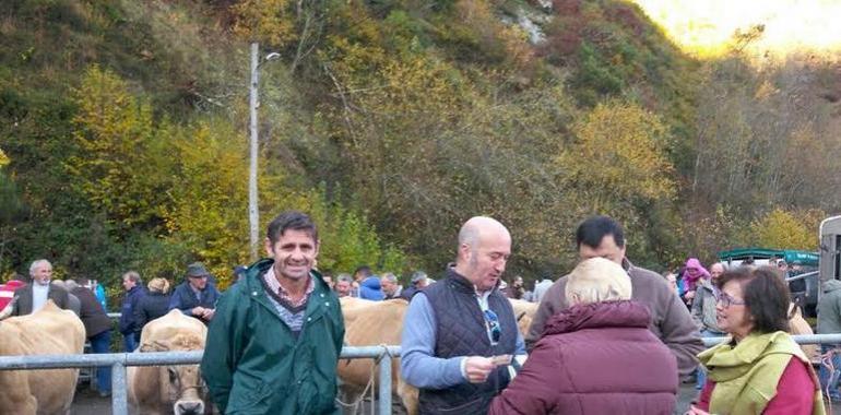 El PP pide una fiscalidad para el campo asturiano como la gallega