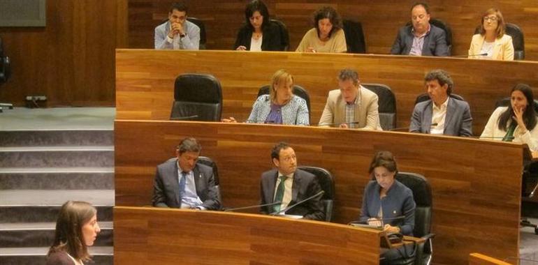 Podemos Asturies planteará en la Junta la regulación de las encomiendas de gestión