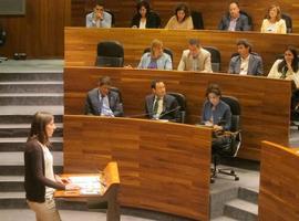 Podemos Asturies planteará en la Junta la regulación de las encomiendas de gestión