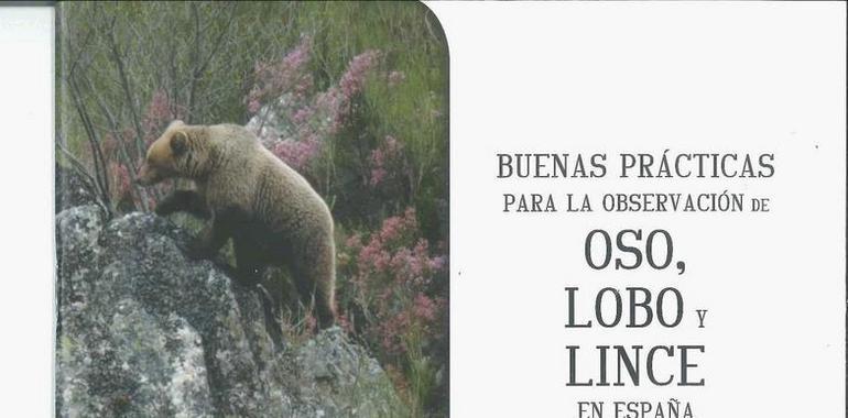 Manual de buenas prácticas para observar oso, lobo y lince en España