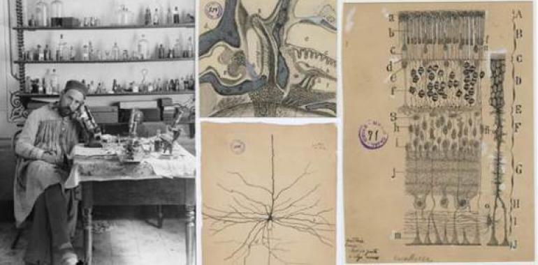 Inaugurada en Estados Unidos una exposición con dibujos de Santiago Ramón y Cajal