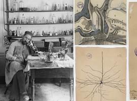 Inaugurada en Estados Unidos una exposición con dibujos de Santiago Ramón y Cajal