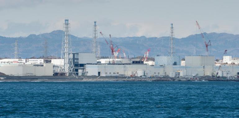 Greenpeace denuncia presiones del Gobierno japonés a la población para que vuelva a Fukushima