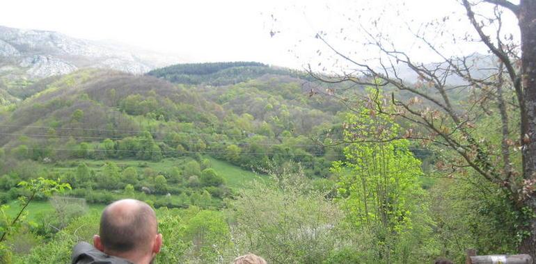 El Parque de la Prehistoria y la Fundación Oso de Asturias organizan el domingo un itinerario 