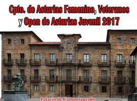El Palacio de Camposagrado, en Avilés, acoge los Campeonatos de Asturias de Ajedrez 