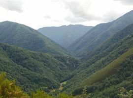 Asturias destina 7,2 millones a financiar inversiones locales y potenciar el desarrollo forestal