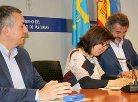 Los últimos censos consolidan la población osera en Asturias