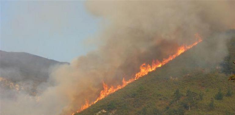  26 incendios forestales activos en 18 concejos de Asturias