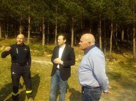 39 incendios forestales siguen ardiendo en Asturias