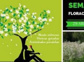 Turismo sostenible en Comarca de la Sidra con la Semana de la Floración del Pumar
