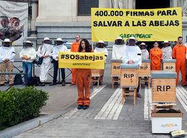 400.000 firmas exigen al Ministerio medidas para salvar las abejas