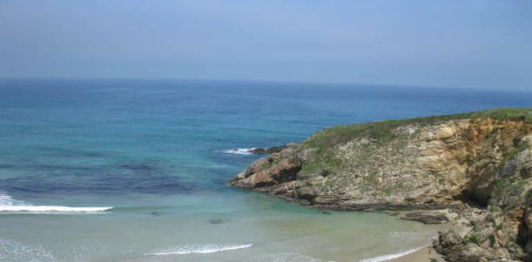 La calidad del agua de ocho de cada diez playas asturianas recibe la máxima calificación sanitaria
